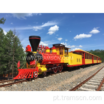 Bela floresta viajando por trem trem